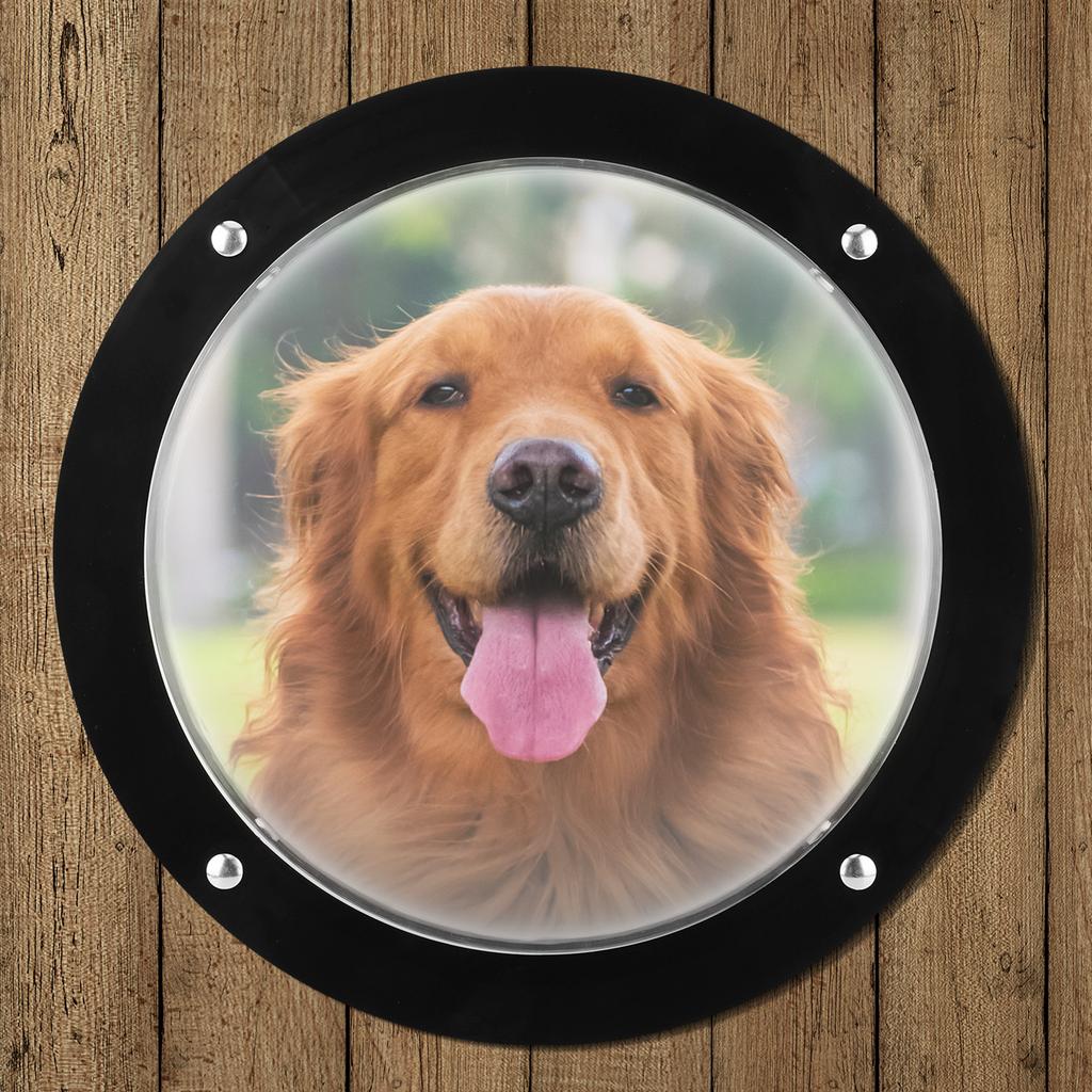 Dog Window for Fence Acrylic Clear View Dome Bubble Window - Dog Dome Window Cat Pets Dome Safe Ventilation Hole Pet Peek Window
