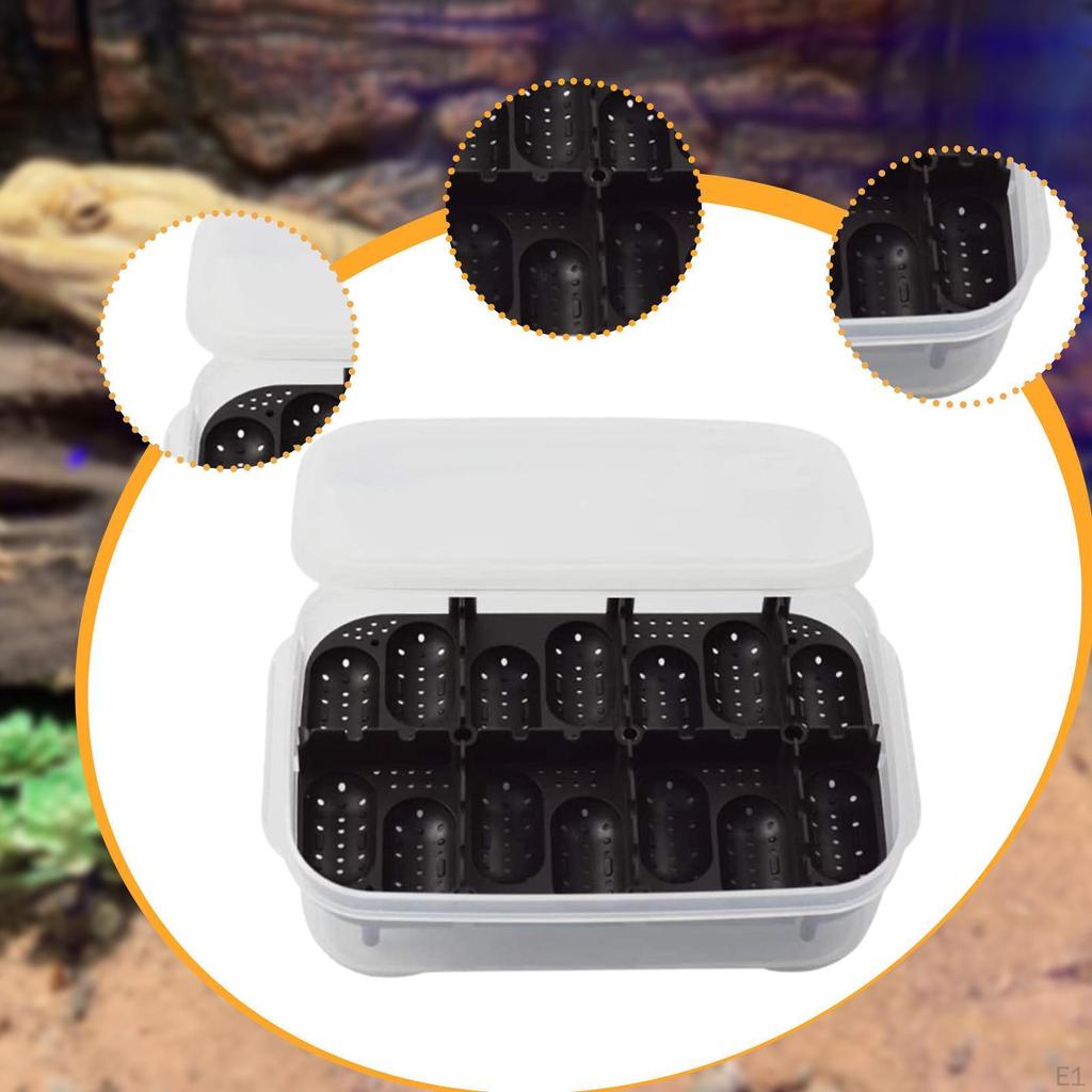 Инкубатор для рептилий, контейнер на 14 ячеек, принадлежности, инкубационный кейс для гекконов, черепах, ящериц