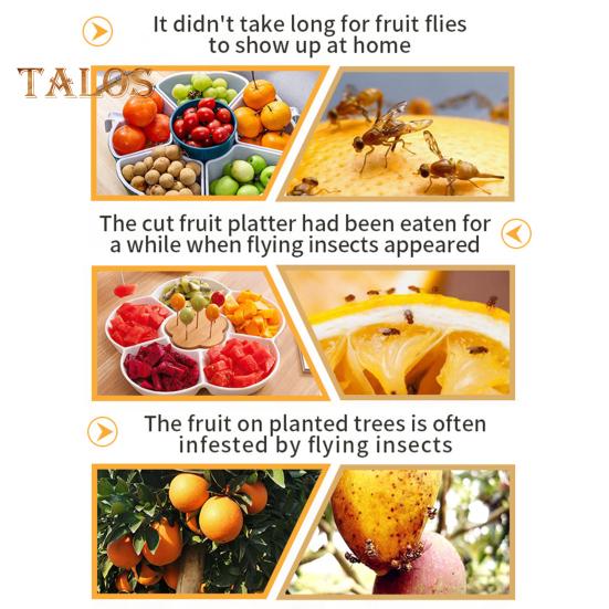 Wasp Trap Hanging Design Catch Flies Gnats Bees Wasps Trap Easy To Use And Clean Effective Insect Catcher for Patio Yard Garden Family Outdoors