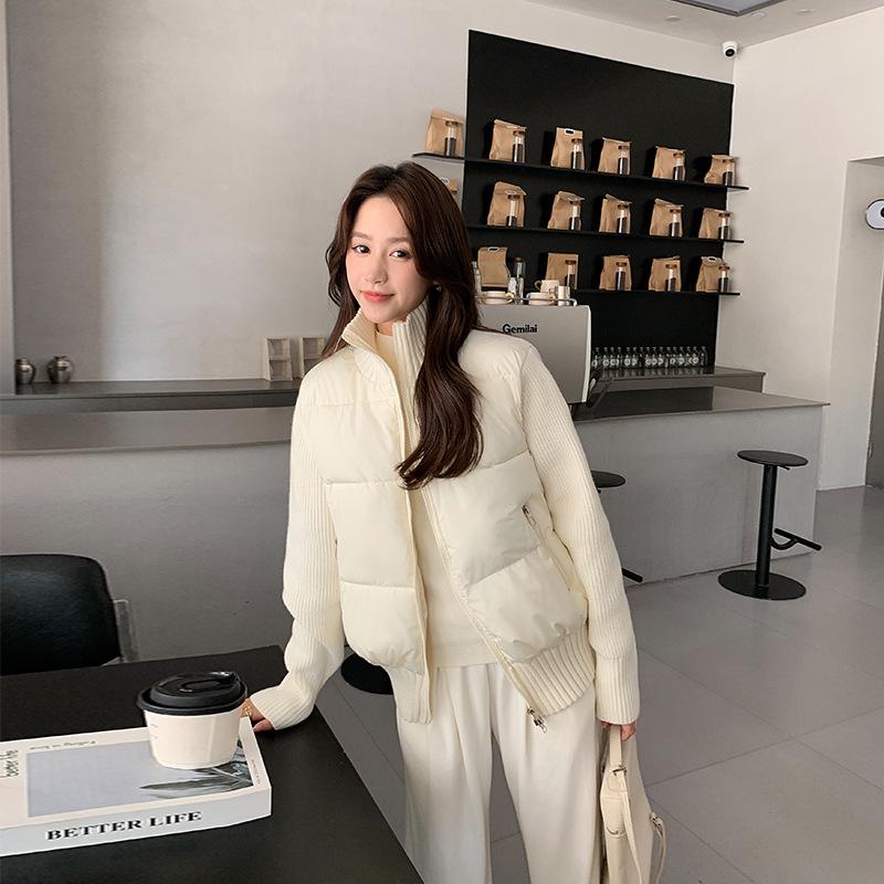 Новая женская модная хлопковая одежда Осень и Зима Короткая Свободная Стойка Воротник Хлопковая Куртка
