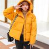 New Winter Hooded Jacket Women Cotton Coat Parkas Short Casual  Overcoat Warm Padded Jacket Parka Female Zipper Jacket Outwear