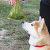 1.5 Silk 1 Volumes FootprintsPet Waste Bags Pick Up Bags  Dog Poop Bag Dispensers Pet Supplies