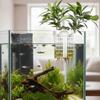 Extendable Hook Aquatic Plant Holder Versatile Plant Cultivation Rack  Plant Cultivation