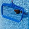 Swimming Pool Cleaning Skimmer Net with Fine Holes Effectively Catch Leaves Design for Inground & Above Ground Pools Ponds