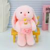 Aiji Rabbit Plush Toy Cute Little Rabbit Doll Doll Companionship and Comforting Doll Girl Gift