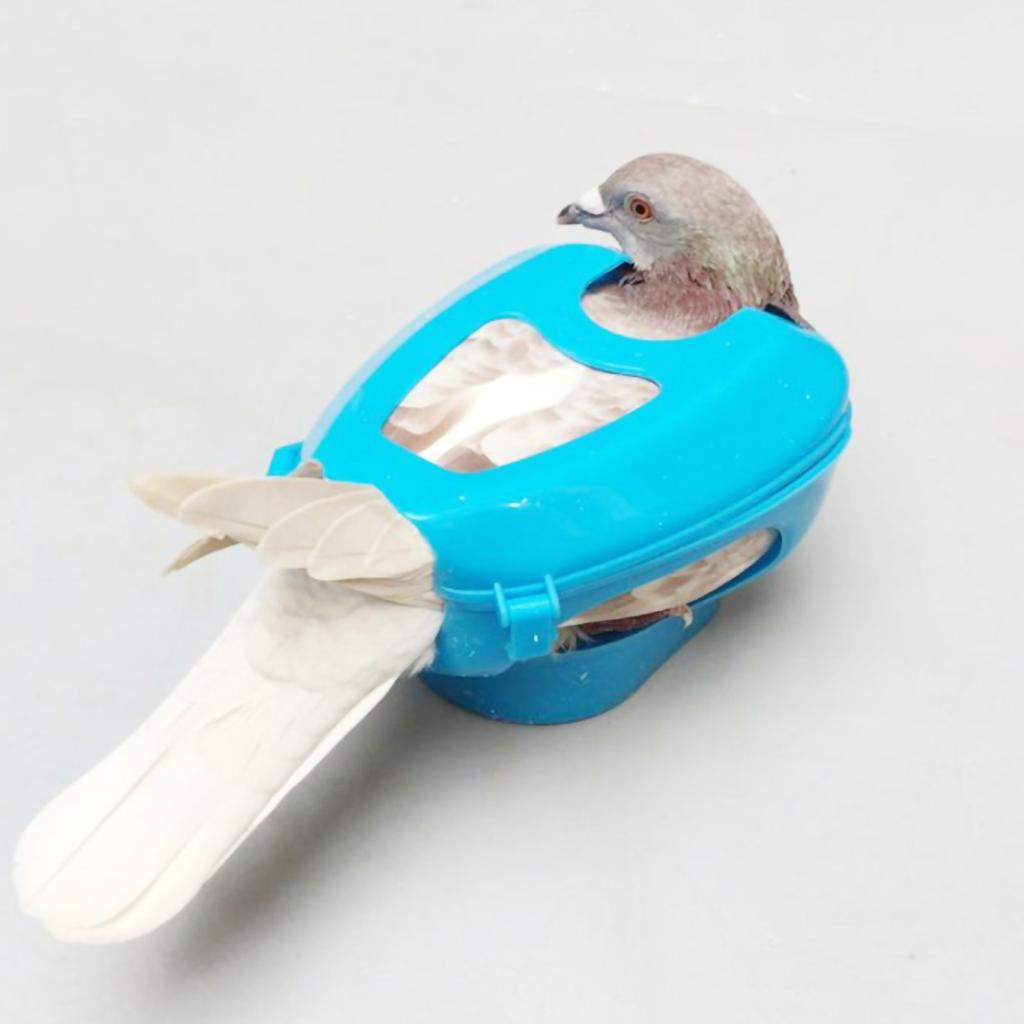 Plastic Pigeon Holder for Injection Feeding Fixed Mount Bird Supply(blue)