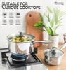 MICHELANGELO Stainless Steel Saucepan Set with Lid, Triple Bottom Stainless Steel Base, Scald-proof Double Rivet Handles