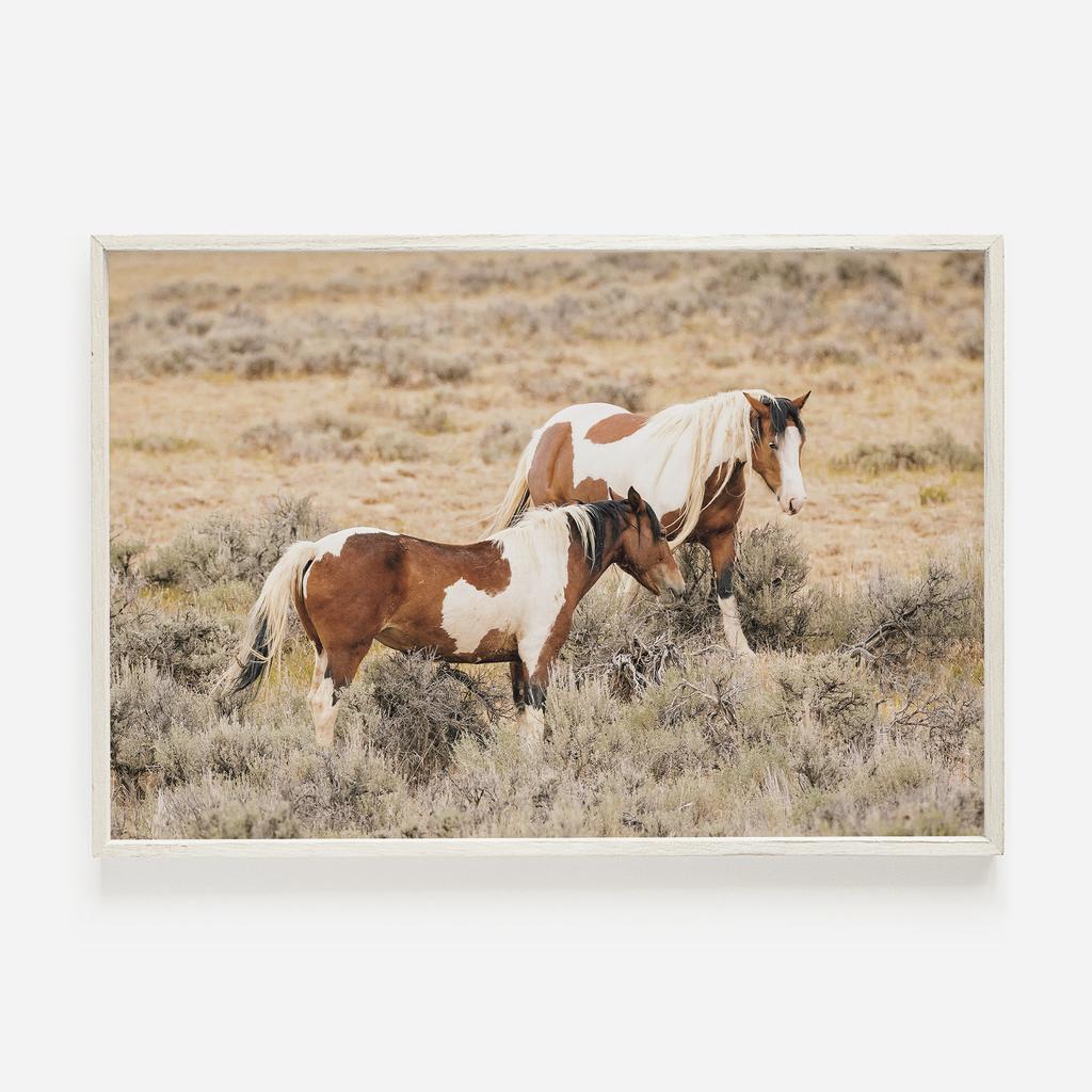 Wildlife Wall Art Western Country Rustic Print Buffalo Bull Elk Cowboy Horse Yellowstone Bison Canvas Painting Home Decor