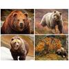 5D DIY Diamond Painting Bear Cross Stitch Kit Full Round Diamond Embroidery Animal  Mosaic Rhinestones Picture Home Decor