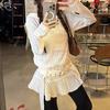 Korean-style hollow lace ruffle long-sleeve dress for women, new spring and autumn niche semi-transparent design hooded sweatshirt dress
