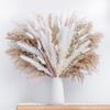 Nordic Style Dried Flower Bouquet: Mixed Arrangement with Small Reeds, Bunny Tail Grass, and Duster for Home Decoration.