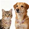 Full Diamond Cat Collar Adjustable Dog Collar Fashion Diamond Collar  Wedding Photography