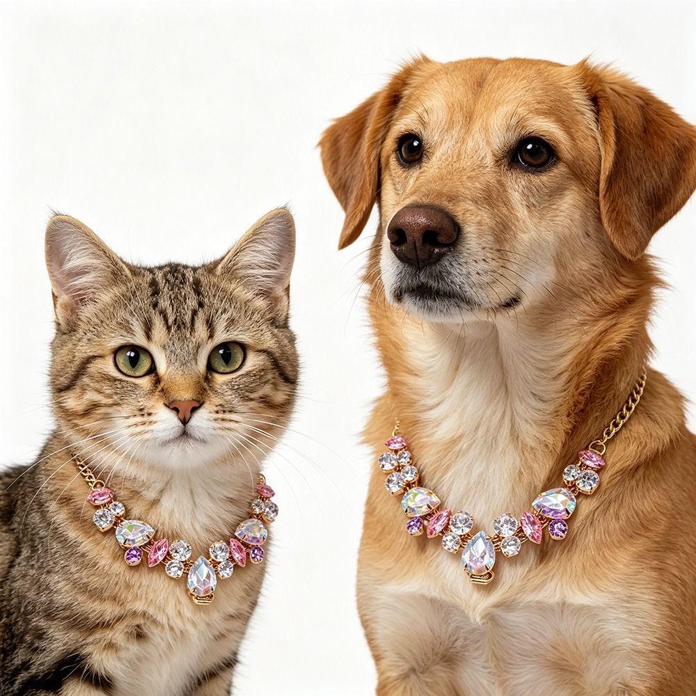 Full Diamond Cat Collar Adjustable Dog Collar Fashion Diamond Collar Wedding Photography