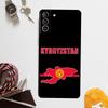 Чехол с флагом Кыргызстана для Samsung Galaxy S24 Ultra S20 S21 S22 S23 Plus S9 S10 S24 FE S25 Ultra Чехол Coque
