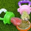 Cute Baby Fresh Food Feeding Nipple Dummy Fruits Nibbler