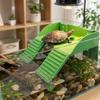 with Suction Cups Turtle Basking Platform Double Ladder Reptile Terrace  Aquatic Turtles