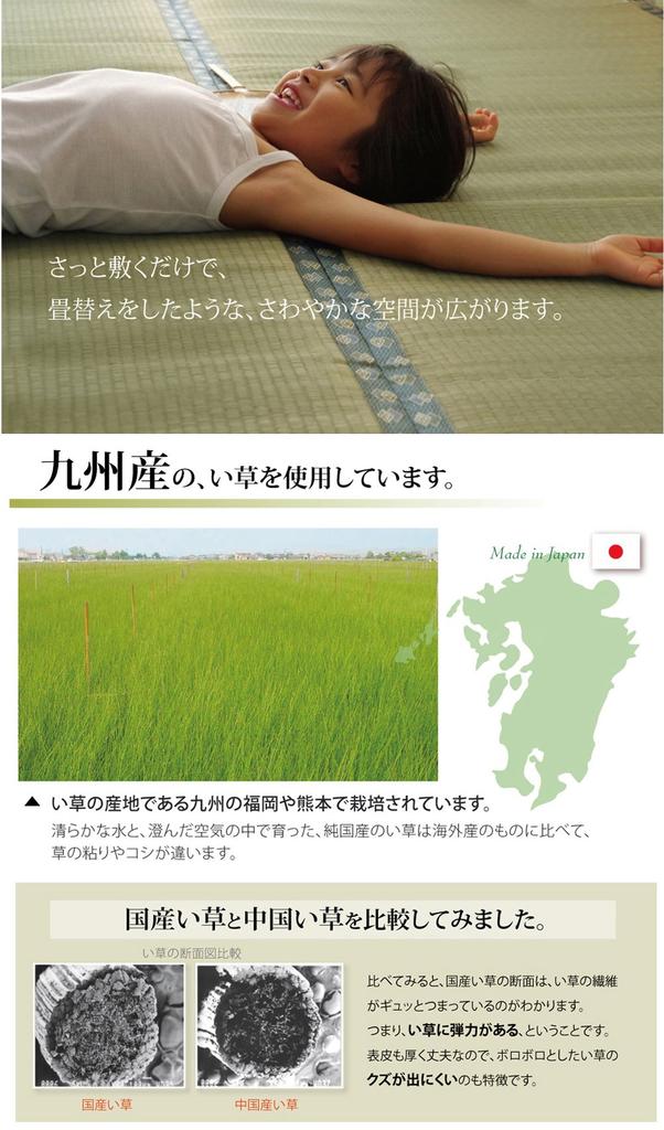 IKEHIKO Igusa Rug, Pine, Fits 6 Tatami Mats (Danchima), Approx. 255 X 340cm, Made In Japan, Double-Weave Carpet with Cypress Finish #1103216