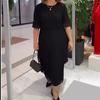 Women Summer Dress Half Sleeves Round Neck Plus Size Double Layers Pleated Irregular Hem Chiffon Breathable Soft Daily Wear Parties Commute Maxi Dress