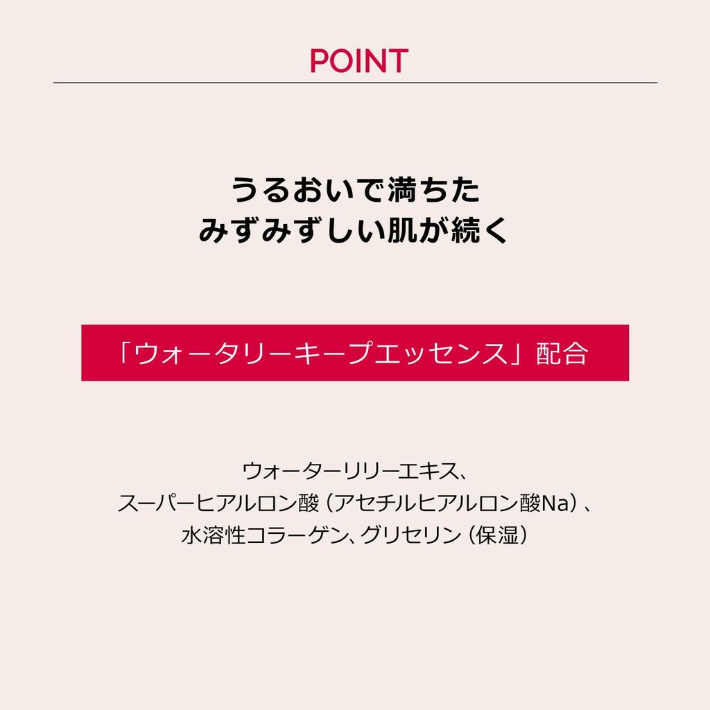 Maquillage Dramatic Concealer SPF30 Concealer Base Coverage for Dark and Dark Circles Moisturizing Shiseido Light, 8g, PA+++ Cream-Based