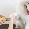 Маникюрные ножницы для животных Маникюрные ножницы для кошек Маникюрные ножницы для животных Маникюрные ножницы для кошек и собак Маникюрные ножницы для животных Простая концепция дизайна и креативные