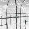 Greenhouse Transparent 160 x 400 x 190 cm PVC & Steel