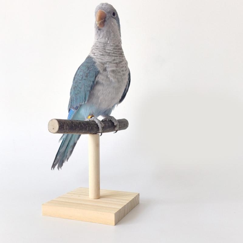 Parrots Stand Scratchers Perch Stands Bird Stands Wood Stick Stand Branch Stand Multifunctional Standing