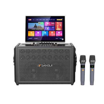 Портативная универсальная караоке-акустическая система Sansui C6, штекер CN (адаптер в комплекте)