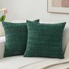 Solid Color Plush Double-Sided Pillowcase Corduroy Cushion Cover Decorative Sofa Bed Head Lumbar Support Pillowcase Set Of Two