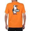 Футболка с логотипом Booby Orange [Chums] Футболка мужская