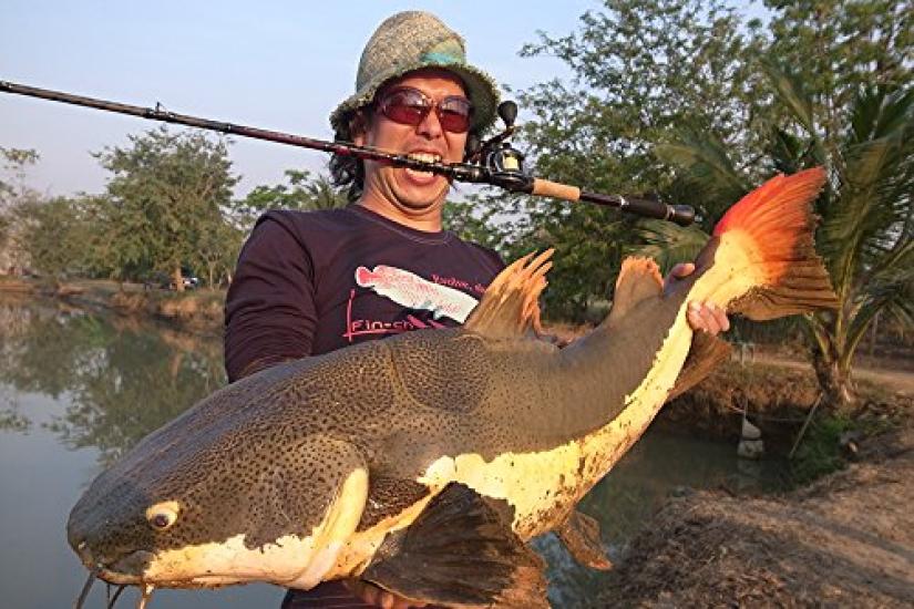 Abu Garcia World Monster Pack Rod Big Bait Sea Bass WMSC-734H