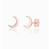 Moonlight Motif Silver Earrings
