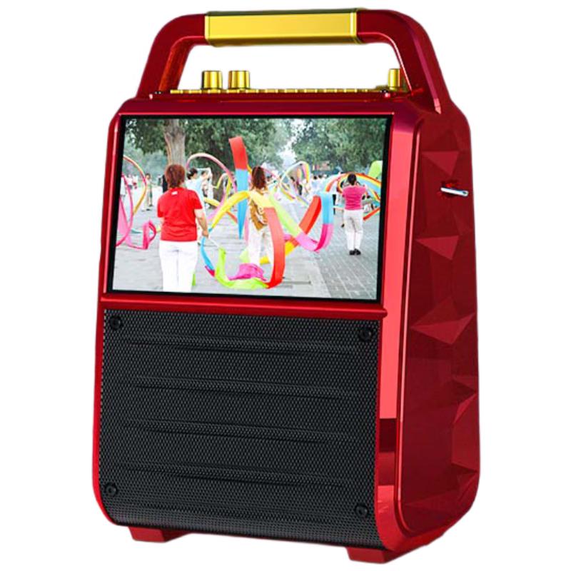 Huabao Portable Karaoke KTV Speaker with Display & Dual Mics CN plug (adapter included)