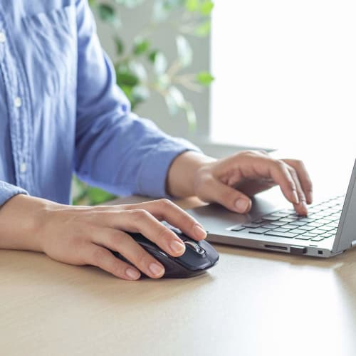 SANWA SUPPLY Бесшумная беспроводная мышь с синей светодиодной подсветкой, с разъемами Type-C/A в комплекте, большая 5-кнопочная MA-WBLC169BK