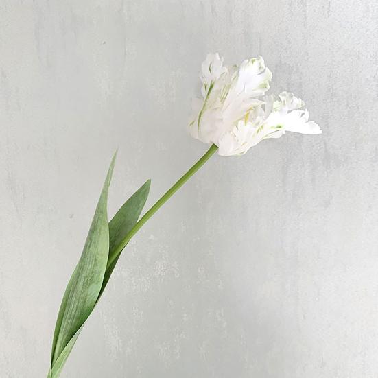 Искусственный тюльпан Реалистичный искусственный цветок с листьями Не требует ухода Искусственный тюльпан для домашнего декора Свадебная вечеринка Настольное украшение