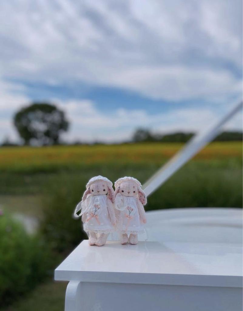 [USED] Handmade stuffed toy by overseas artists, Tulip Rabbit, Teddy Bear