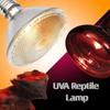 Патрон E27 Лампа для обогрева питомцев Диммируемая УФА лампа Прочная тепловая лампа Среда обитания ящериц