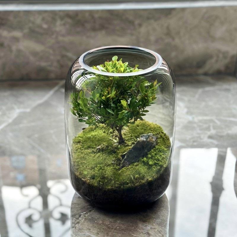 Творческий настольный микроландшафтный ваза своими руками зеленое растение экологическая бутылка мох ленивый искусственный ландшафтный дизайн бутылка современная простая ваза