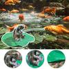 Fishing Turtle Statue Resin Angler Turtle On Lotus Leaf Ornament Floating Animal Sculpture for Fish Tank Aquarium Pond