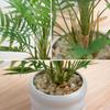 WillingYou Fake Green Tabletop Mini Artificial Fake Potted Plant Tropical Palm Tree Height inches with Pot Stylish Interior Goods No Care Required No
