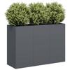 VidaXL Anthracite Planter 120x40x80 Cm Cold-rolled Steel 860719