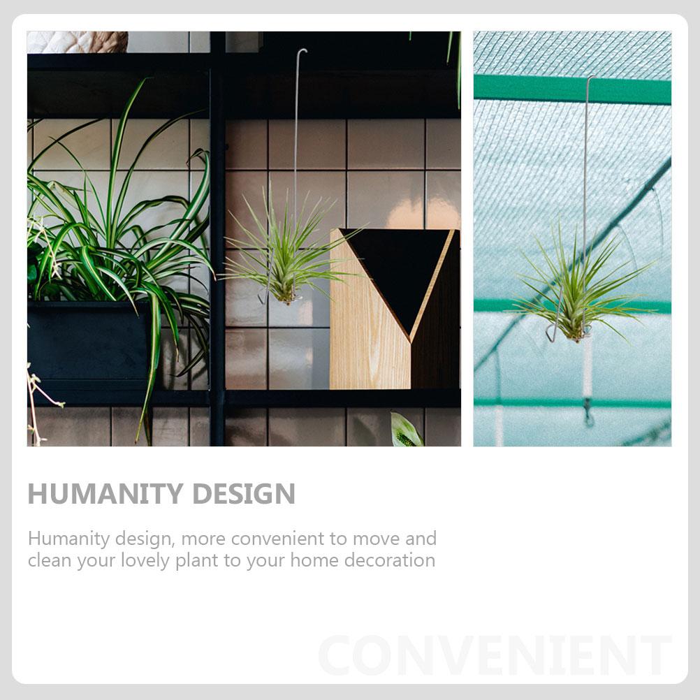 6 Pcs Air Pineapple Hook Display Hanger for Tillandsia Plant Holder Ceiling Hanging Plants Coat Hangers Stand Planter