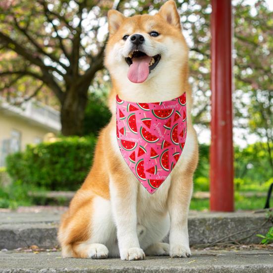 Бандана для собак, модные аксессуары, треугольный шарф, нагрудник с принтом, воротник, кошка, щенок