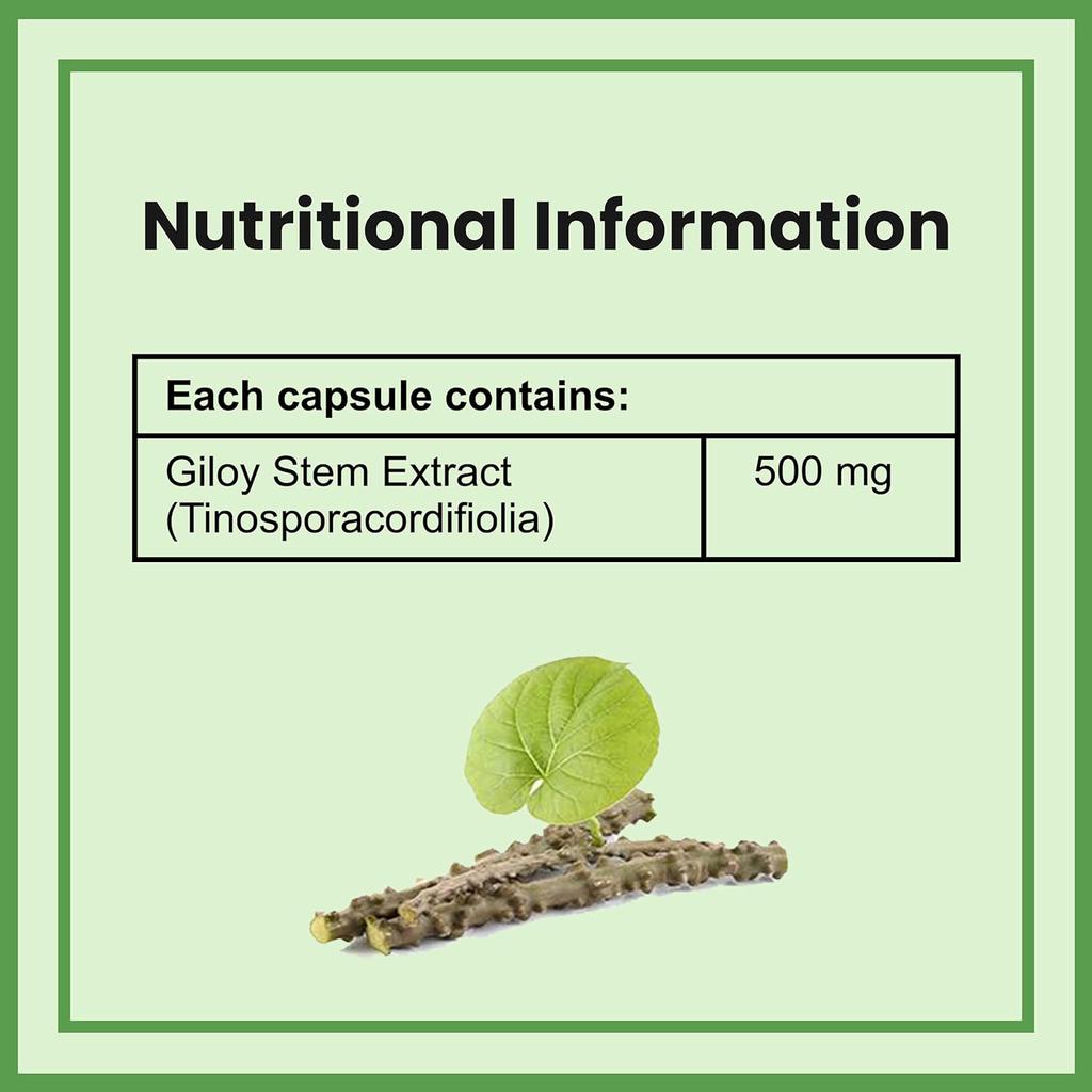 Таблетки Ambrosial Giloy 500 мг | Натуральный экстракт Giloy Guduchi, антиоксидантные свойства, усилитель иммунитета (Упаковка 1-60 капсул)