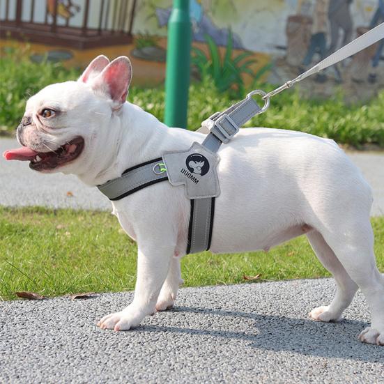 Светоотражающая шлейка для собак. Удобный и регулируемый нагрудный ремень для домашних животных для безопасного активного отдыха. Ежедневное использование. Прочный дышащий дизайн.