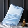 6A Grade Natural Mulberry Silk Latex Pillowcase Superior Quality Protect Hair Pillow Case Solid Color Bedding Pillowcover