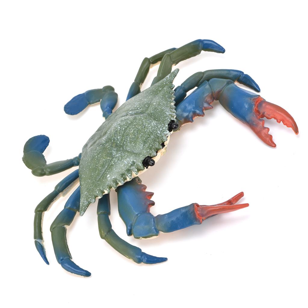 Realistic Marine Animal Crab Model Simulated Plastic Crab Kid"s Educational Props Crab