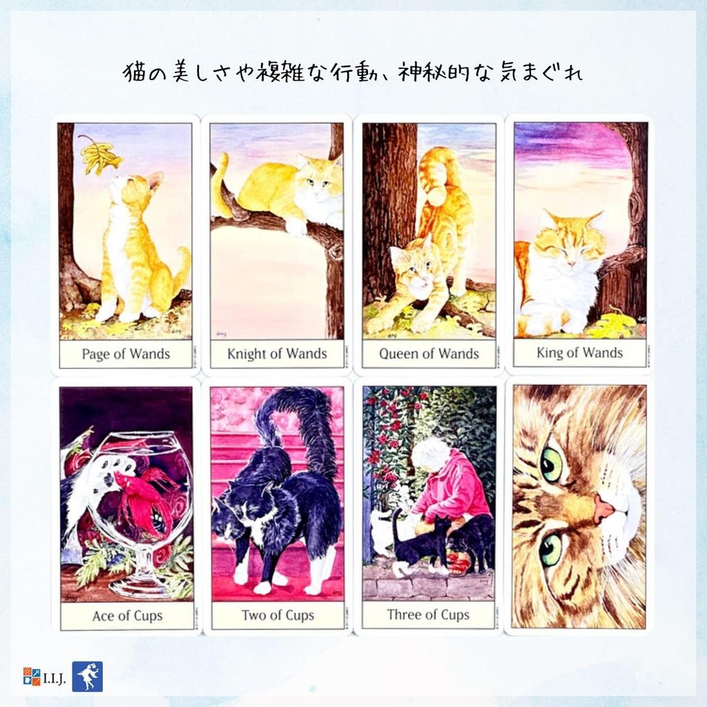 Eye Waite 78 Tarot Tarot Includes Japanese Authentic Product I.I.J Cat's Tarot, Edition, Cards, Cards, Cat, Reading, Instructions,