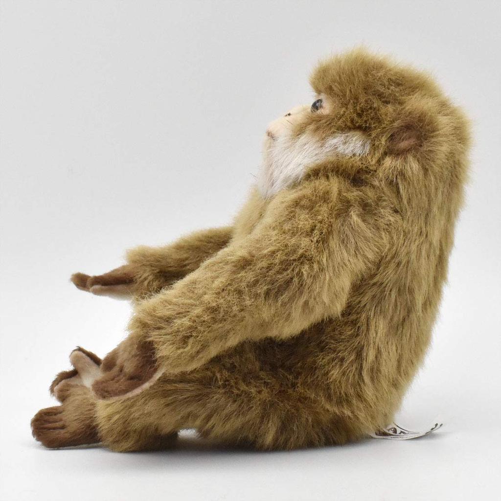 BH6319 HANSA Обезьяна 15