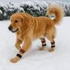 4pcs/set Thickened Anti-Slip Dog Socks Breathable Pet Paw Protector Puppy Warm Sock  Outdoor Use