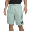 Nike Casual Shorts Men's Mineral Moderate DX0905-309